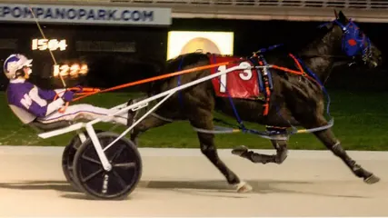 Warrawee Veloce winning the Open III pace at Pompano Park on January 2, 2022
