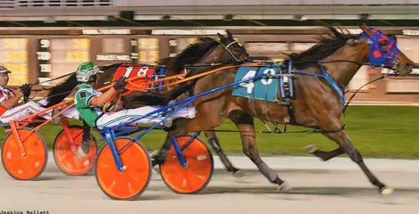 Blue Devil winning at Pompano Park on March 28, 2022