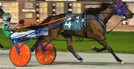 Blue Devil winning the Open II trot at Pompano Park on April 4, 2022