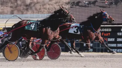 Warrawee Veloce winning at The Meadows on December 15, 2023