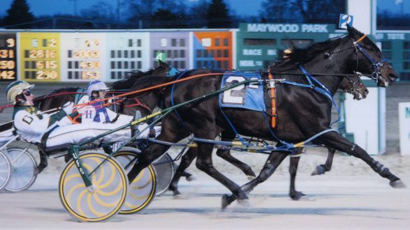 Excelerated Speed wins mid level conditioned event at Maywood