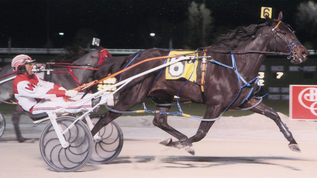 Excelerated Speed Wins Balmoral Mares Open Pace