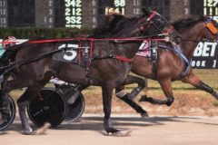 Arclight-Hanover-09-19-2021-Stretch