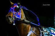 Blue-Devil-PPK-21-22-12