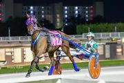 Blue-Devil-PPK-21-22-7