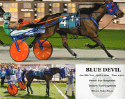 Blue-Devil-Web-20220404
