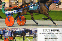 Blue-Devil-Web-20220404