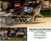 Primo-Extremo-Web-01-26-2022