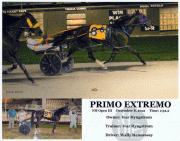 Primo-Extremo-Web-12-08-2021