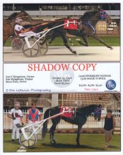 1_Shadow-Copy10-23-2018-1200