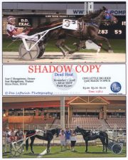 1_Shadow-Copy11-07-2018-1200