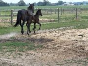 20230610_220117895_iOS