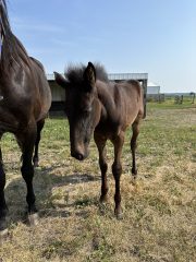 20230624_142457345_iOS