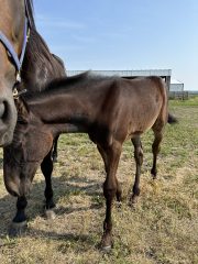 20230624_142458921_iOS