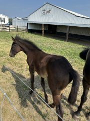 20230624_142502917_iOS