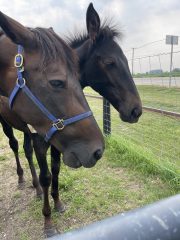 20230716_145843889_iOS