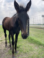 20230716_145855172_iOS