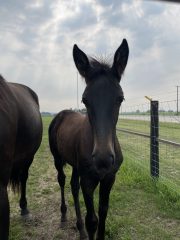 20230716_145857842_iOS