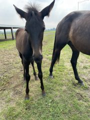 20230716_150157209_iOS