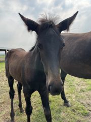 20230716_150210059_iOS