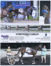 Unhynged-Cadeau-2025-07-09