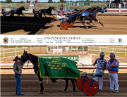 Unhynged-Cadeau-20250826