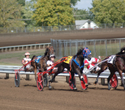 Unhynged-Cadeau-2YO-Violet-1