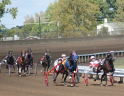 Unhynged-Cadeau-2YO-Violet-6