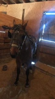 20231002_155050099_iOS