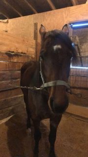 20231002_155339428_iOS