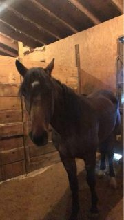 20231002_173056990_iOS