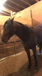 20231002_173116278_iOS