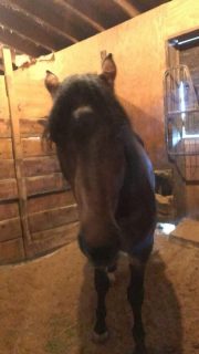 20231002_173128862_iOS