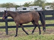 20231230_141051752_iOS