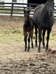 20230308_182511772_iOS