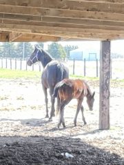 20230418_155525000_iOS