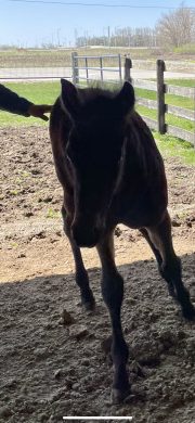 20230418_155642000_iOS