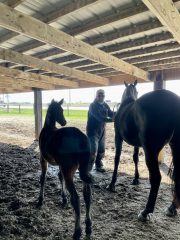 20230418_161839937_iOS