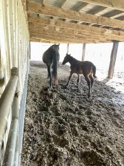 20230418_162019413_iOS