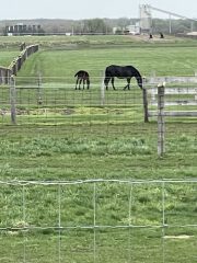 20230420_154644716_iOS