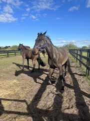 20230108_143655500_iOS