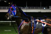 Warrawee-Veloce-PPK-21-22-10