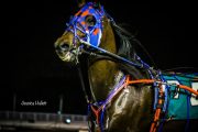 Warrawee-Veloce-PPK-21-22-11