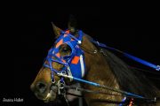 Warrawee-Veloce-PPK-21-22-13