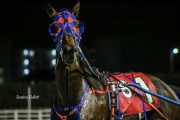 Warrawee-Veloce-PPK-21-22-15