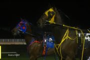 Warrawee-Veloce-PPK-21-22-20