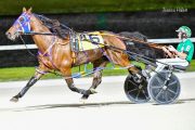 Warrawee-Veloce-PPK-21-22-22