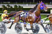 Warrawee-Veloce-PPK-21-22-23