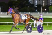 Warrawee-Veloce-PPK-21-22-25