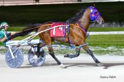 Warrawee-Veloce-PPK-21-22-27